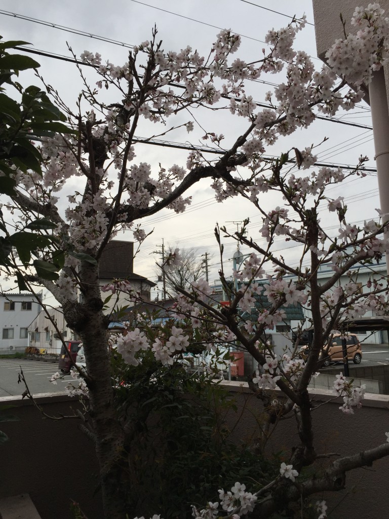 005