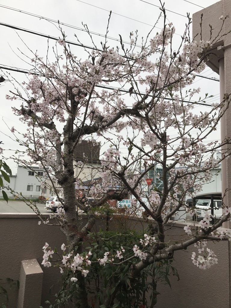 010