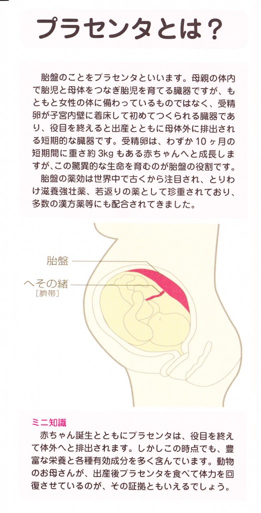 Placenta_0002